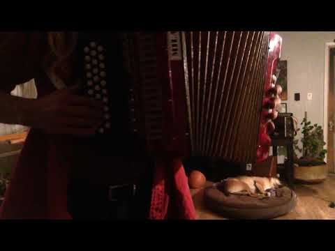 Hohnic Diatonic Milan 3 Row Button Accordion