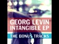 Georg Levin - Intangible 