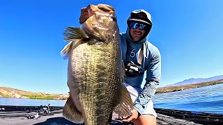 I Found the Best Bass Fishing Lake in America
