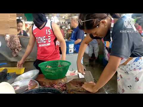 Digna e AJ..Loja de frutos do mar frescos @Cabanatuan Mercado Público