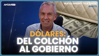 PLAN CAPUTO: EL GOBIERNO SE FINANCIA CON LOS DÓLARES DEL COLCHÓN I Pablo Wende #NuevoDineroTalkShow