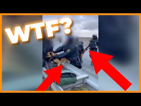 Should we ban police dogs?