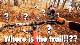 We are not mountain biking, we are leaf surfing!