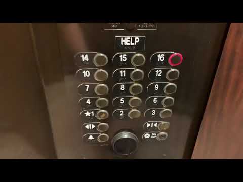 Scenic Otis Traction Elevators @ The Doubletree Suites-Allston/Boston MA