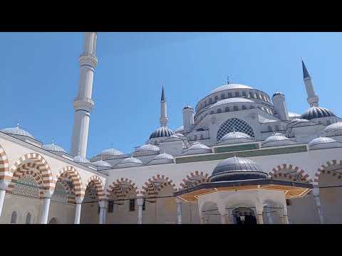 Do You Like Mosque? 🕌