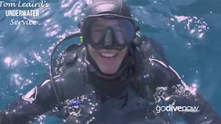 Go Dive Now Reasons to Scuba Dive
