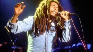 Bob Marley - Coming in from the cold (Live in Pittsburgh,PA.)