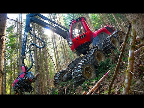 Extreme Logging on 35° Alpine Slope 🏔 | Harvester, Traction Winches & Timber Forwarder in Action