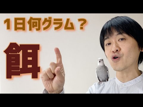 鳥にとって一番良い餌は何でしょうか?