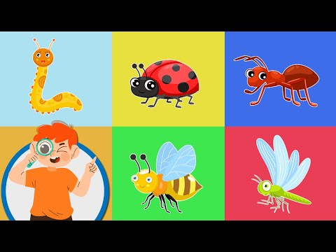 Ce am vazut in iarba - Insectele pentru copii - Desene educative