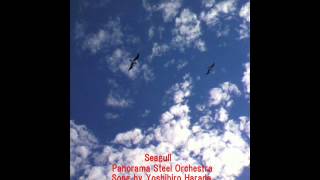 Seagull (For Friend in Far Country) / Panorama Steel Orchestra