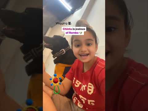 Chintu is Jeleous of Rambo