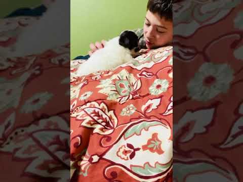 Puppy kisses and snuggles