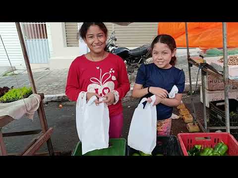 Feira Livre Jurema Pernambuco 25-04-2026