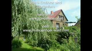 preview picture of video 'Urlaub mit Hund in Thüringen'
