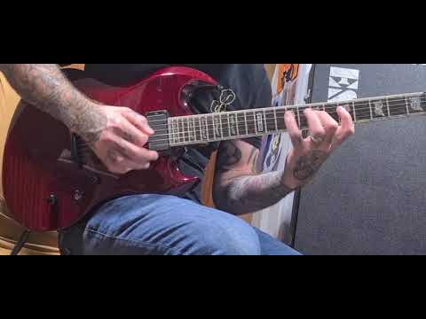 ESP LTD Viper 1000 Deluxe 2010 - Black Flamed image 6
