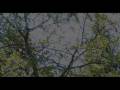 Front 242 - Commando ( Remix )