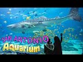 Discount Coupon For San Antonio Aquarium