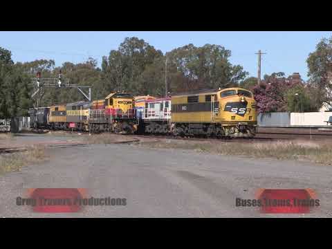 Australian Streamliners 4 plus 3 up front (PART TWO)