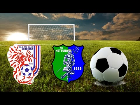 Calcio: Pro Calcio Cecchina - Nettuno
