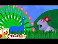 Butterflies And Other Birds BabyTV