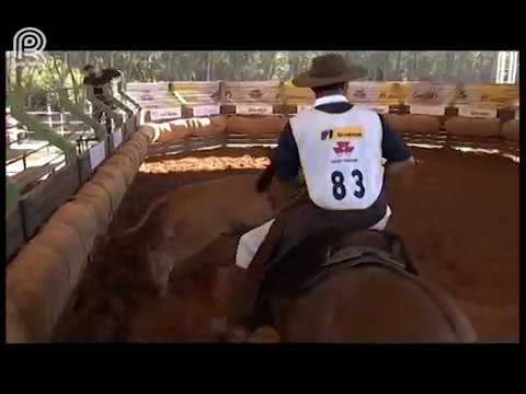 Classificatória Sapucaia (RJ) – 6° lugar machos – Peleador dos Três Pinhais (Prova: Mangueira II)