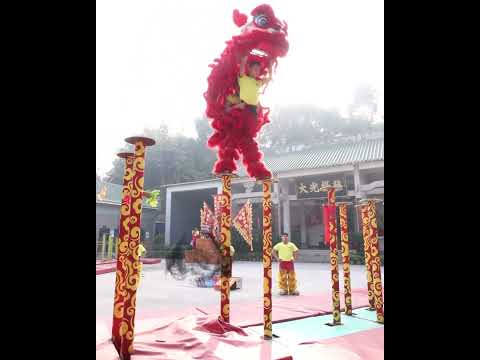 Traditional Chinese lion dance performance moves
