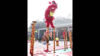 Download lagu Traditional Chinese lion dance performance moves mp3