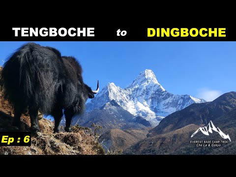 EP : 6 | TENGBOCHE TO DINGBOCHE | Everest Base Camp Trek with Cho La and Gokyo @FINALDESTINATION1
