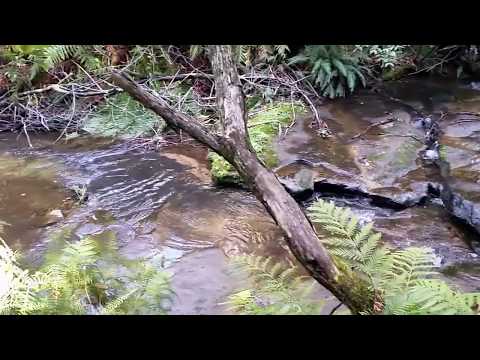 Caminhada do penhasco do Príncipe Henry