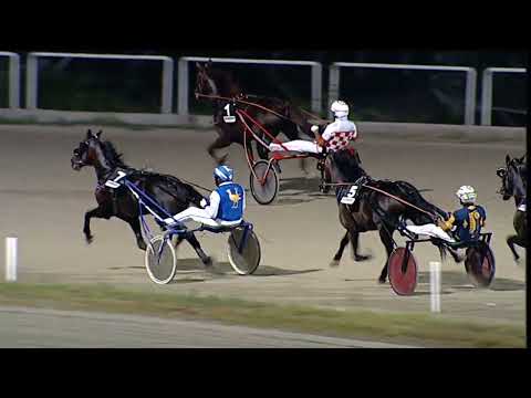 Napoli Trotto 14/07/2023 - 7ª corsa