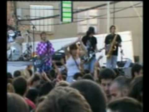 Kuit stik (25-7-2009)