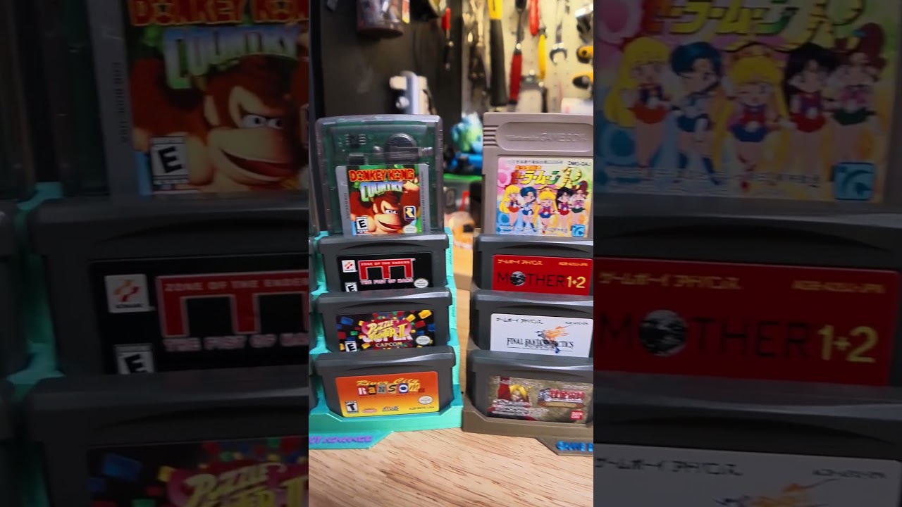 What if your Steam Deck took Nintendo cartridges? #TITW
