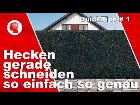 Mit diesem einfachen Tipp bekommt man jede Hecke perfekt gerade!