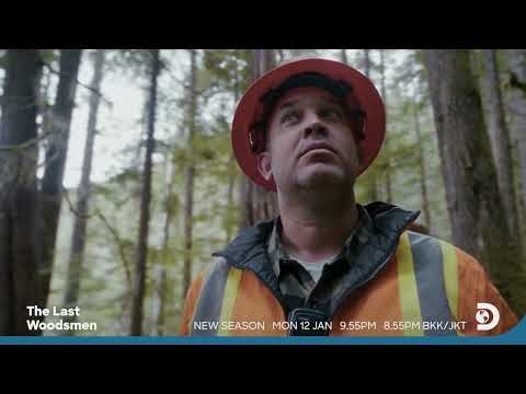 Discovery – Die letzten Waldmänner