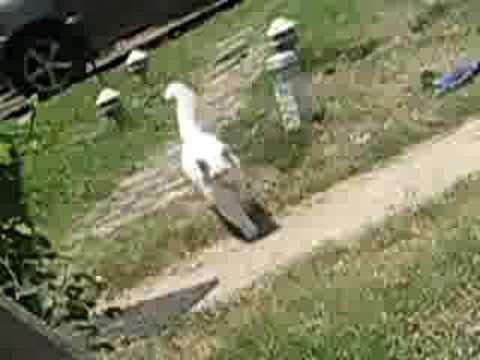 ME AND DEANNA BANANA!!