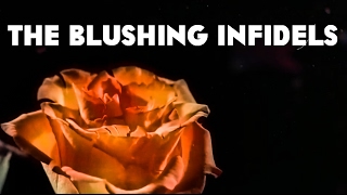 The Blushing Infidels / Paintbox