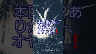 2026年10月13日