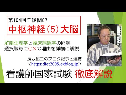 看護学科 中枢神経（5）大脳104PM 87