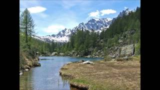 Snake Lake Blues - AL CATMAN