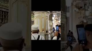 Download lagu Mengucapkan Salam Kepada Nabi Muhammad Saw #masjidnabawi #madinah #madina mp3