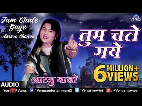 Tum Chale Gaye (तुम चले गए) — watch video