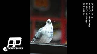 Naughty Boy, RAY BLK, Wyclef Jean - All Or Nothing [HIGH QUALITY AUDIO]