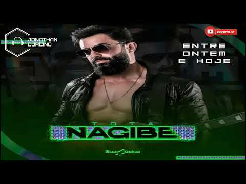 Tota Nagibe - Verão 2026 - Entre Ontem e Hoje - Jonathan Corcino