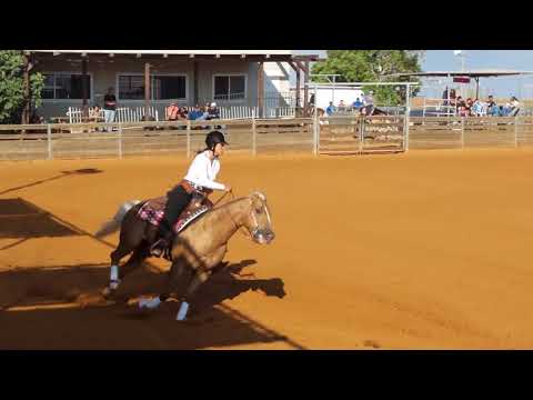 Sara Briga with Xtra Step Balou - Non Pro NRHA