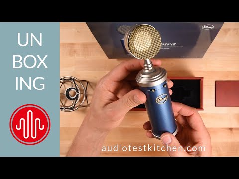Blue Bluebird | Unboxing & Review Powered by You