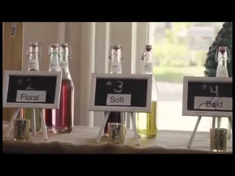 TRIM Forte -B.D.E (Official Video)