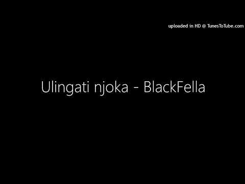 Ulingati njoka - BlackFella