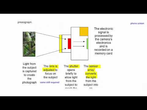 MCS August 2018 Pre-seen Analysis Montel Part 1