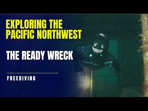 Mr. Lincoln the Lingcod and his wreck dive